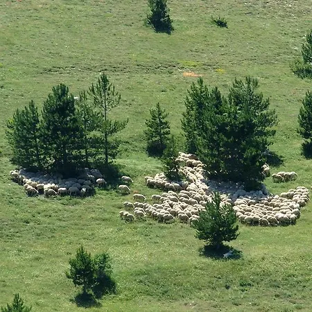 Al Ponte Panzió 3*