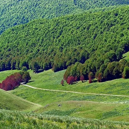 Al Ponte 3* 斯坎诺