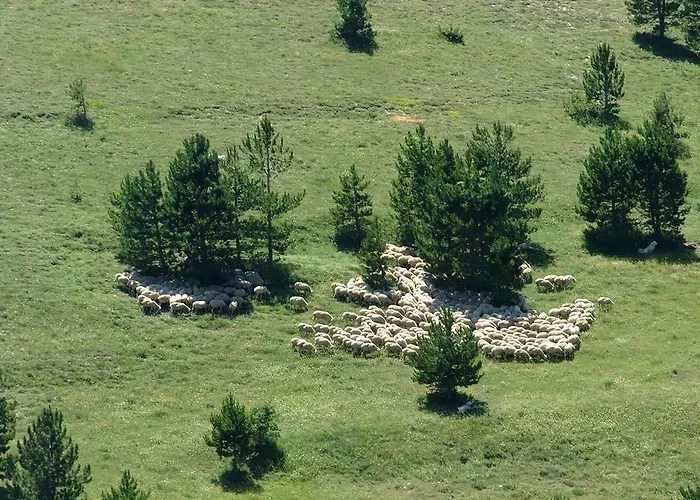 Al Ponte Bed & Breakfast 3*